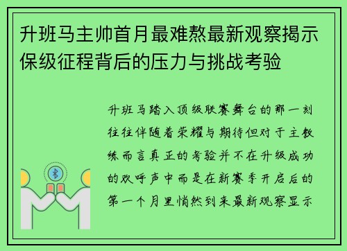 升班马主帅首月最难熬最新观察揭示保级征程背后的压力与挑战考验